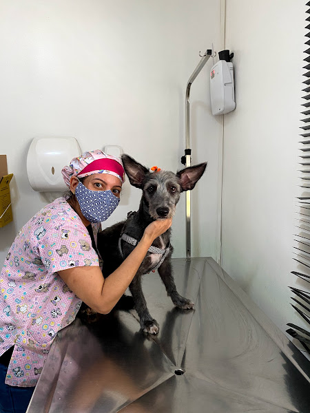 Foto 6 Clínica Veterinária Emergência Pet - CVEP.