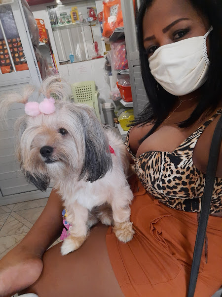 Foto 2 Clínica Veterinária São Caetano