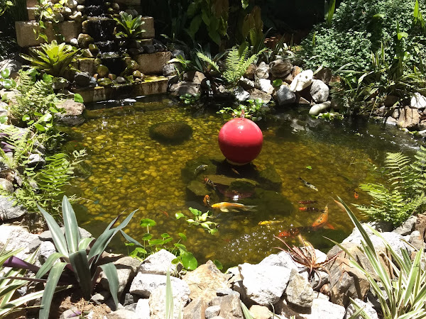 Foto 1 Hospital de Medicina Veterinária Prof. Renato Rodemburg de Medeiros Neto - HOSPMEV / UFBA