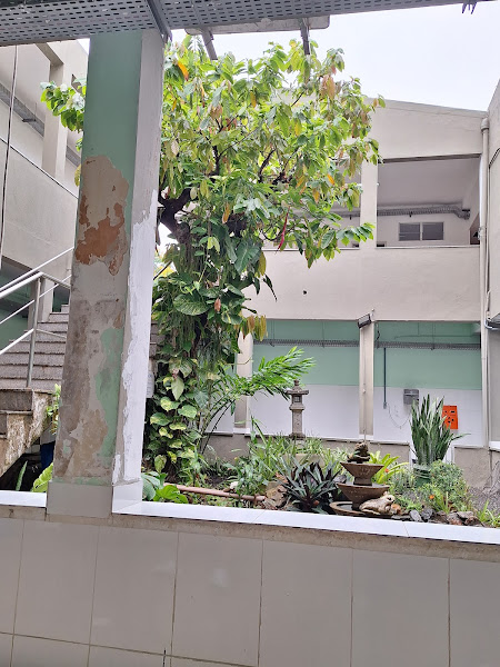 Foto 2 Hospital de Medicina Veterinária Prof. Renato Rodemburg de Medeiros Neto - HOSPMEV / UFBA