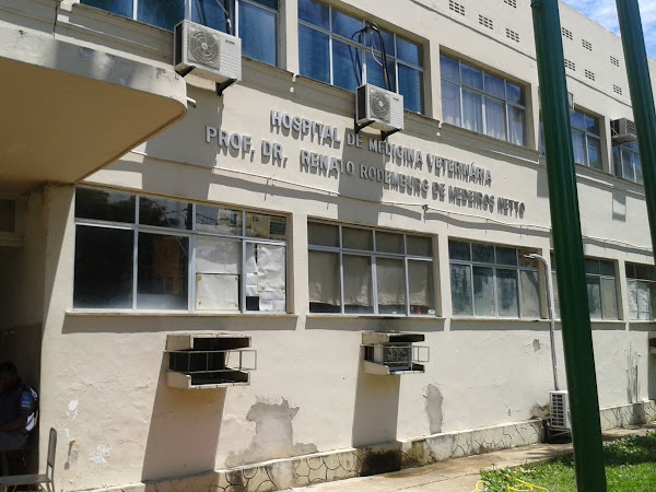 Foto 4 Hospital de Medicina Veterinária Prof. Renato Rodemburg de Medeiros Neto - HOSPMEV / UFBA