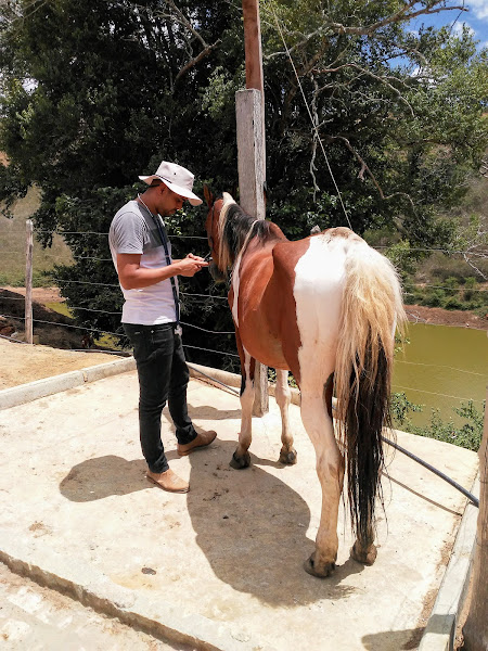 Foto 1 Clinilab Hospital de Equinos