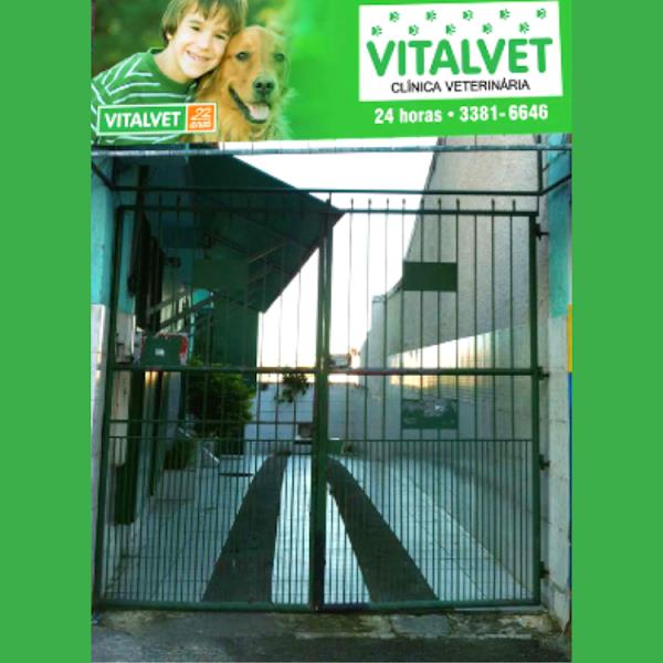 Clínica Veterinária Vital Vet Clínica Veterinária Vital Vet
