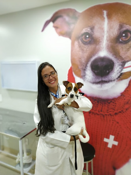 UNIFACS - Clínica Veterinária