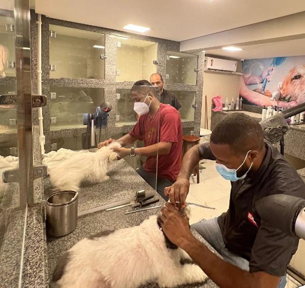 Foto 3 Clivepa Veterinária