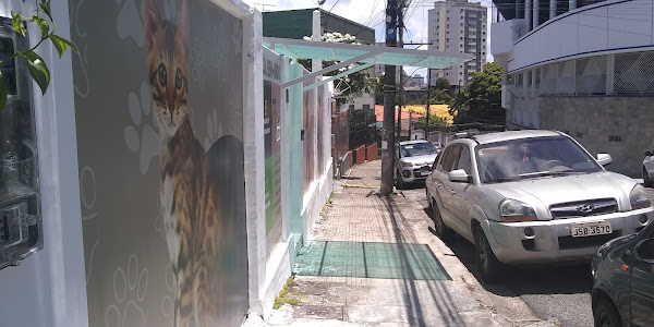 Foto 3 Clinica Veterinaria Sao Bernardo