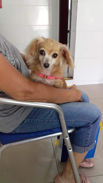 Foto 2 Vets - Clínica Veterinária