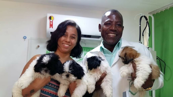 Foto 1 Clínica Veterinária Prazeresvet