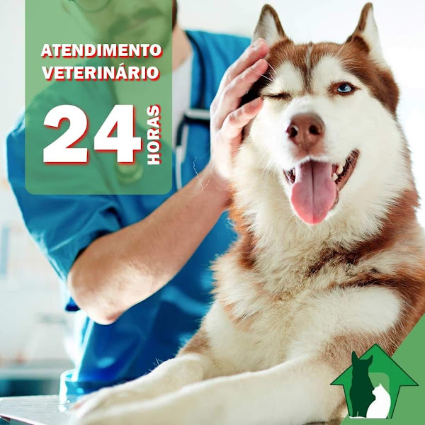 Foto 5 Vet Service Costa Azul