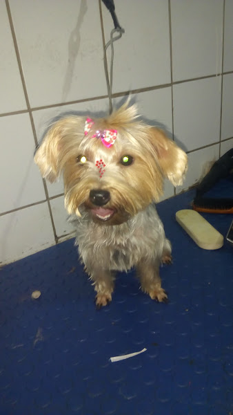 Foto 2 Clínica World Vet