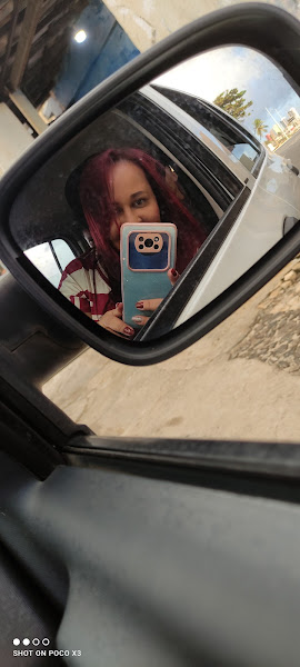 Foto 3 Pet Zoo Clinica Veterinária especializada em animais silvestres e exóticos