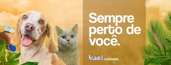 Foto 5 Kennel Veterinária - Brotas