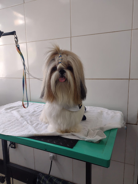 Foto 1 Alphapets Clinica Veterinária