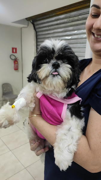 Foto 5 Patas e Cia Clínica Veterinária