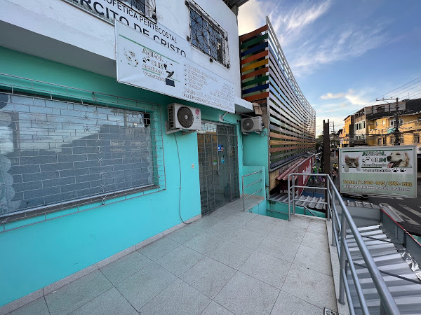 Foto 2 AnimalClin Clinica Veterinaria