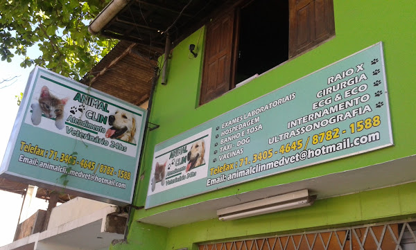 Foto 4 AnimalClin Clinica Veterinaria