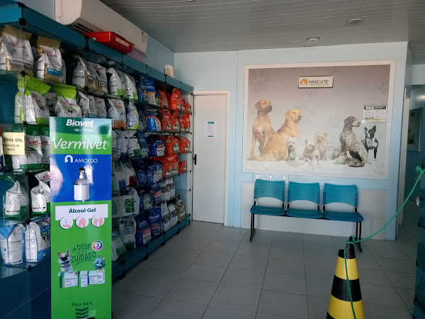 Foto 2 Mascote Veterinário 24h