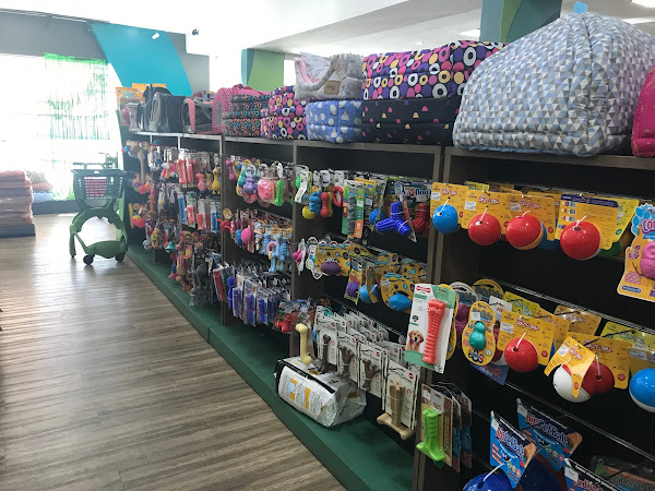 Foto 2 Semeve - Serviço Médico Veterinário | Itaigara