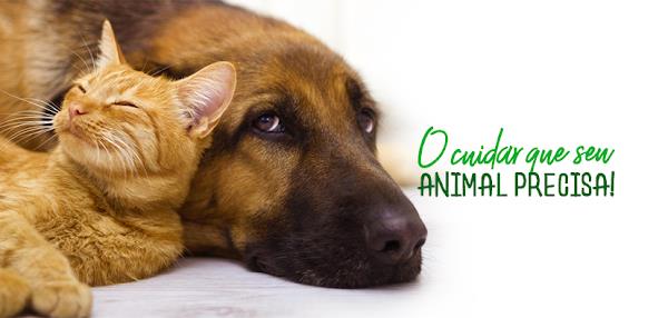 Lucas Fontoura Silveira - Consultório Veterinário