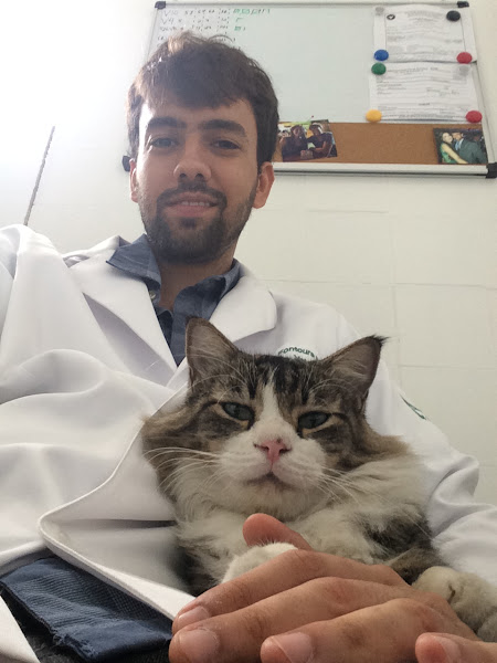 Foto 1 Lucas Fontoura Silveira - Consultório Veterinário