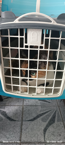 Foto 2 CitVet2 - Centro de Diagnóstico Veterinário