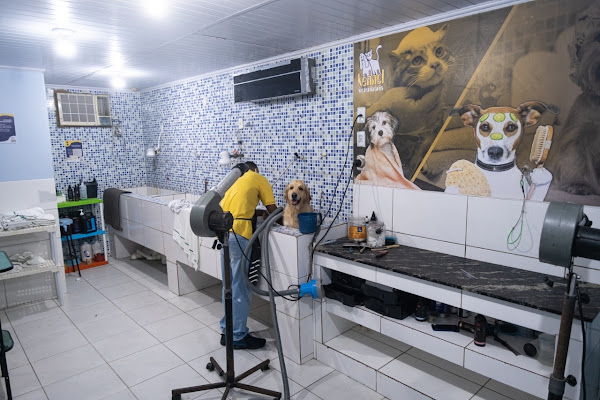 Foto 1 Kennel Veterinária - Pituba