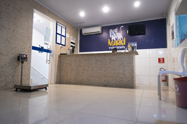 Foto 2 Kennel Veterinária - Pituba