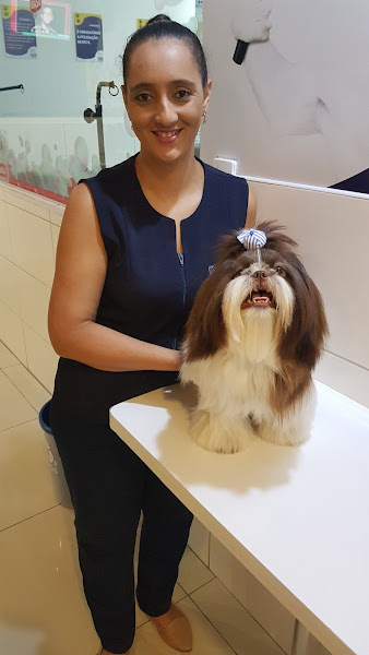 Foto 4 Kennel Veterinária - Pituba