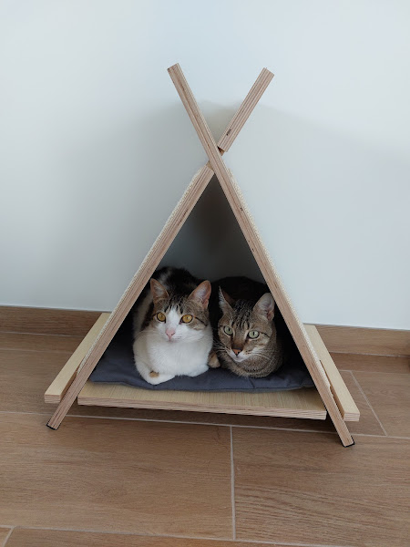 Foto 2 Diagnose Animal veterinaria