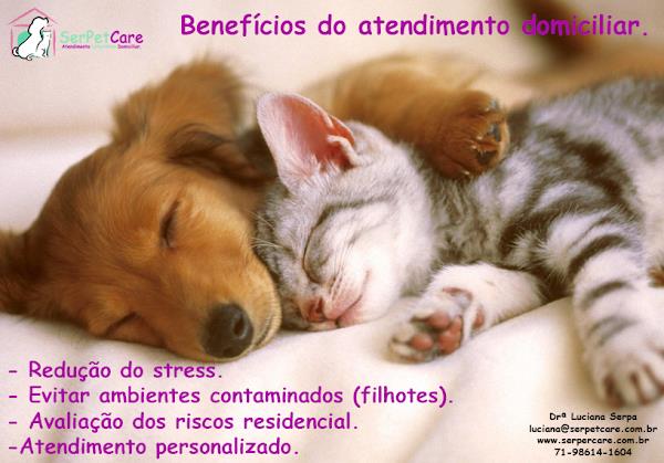 Foto 1 SerpetCare