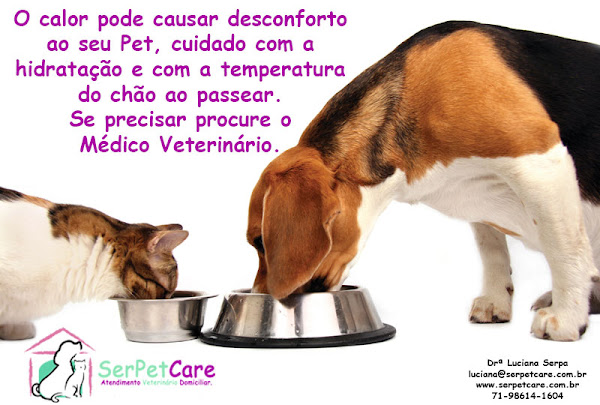 Foto 4 SerpetCare Foto 4 SerpetCare