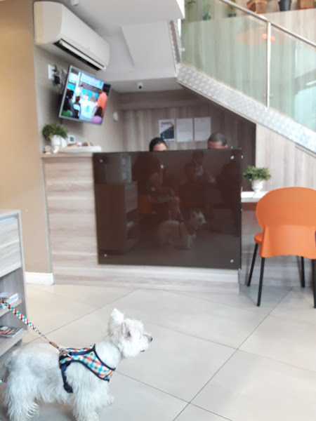 Foto 1 OPTVET Oftalmologia Veterinária