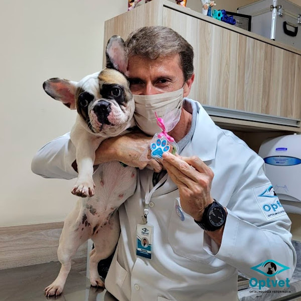 Foto 2 OPTVET Oftalmologia Veterinária