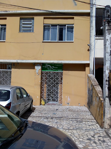 Aukemia Veterinário Aukemia Veterinário