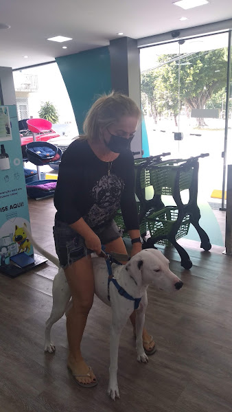 Foto 1 Semeve - Serviço Médico Veterinário | Barra