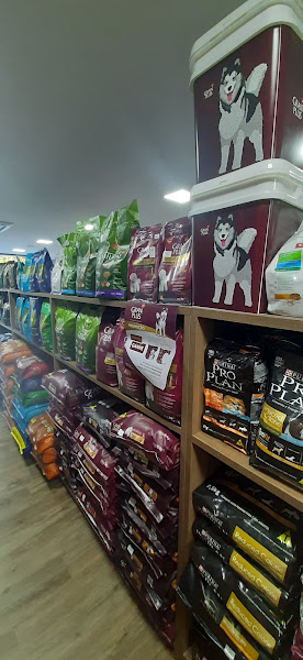 Foto 2 Semeve - Serviço Médico Veterinário | Barra