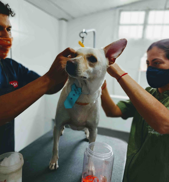 Foto 1 Pet Belinha - Centro Veterinário e Petshop