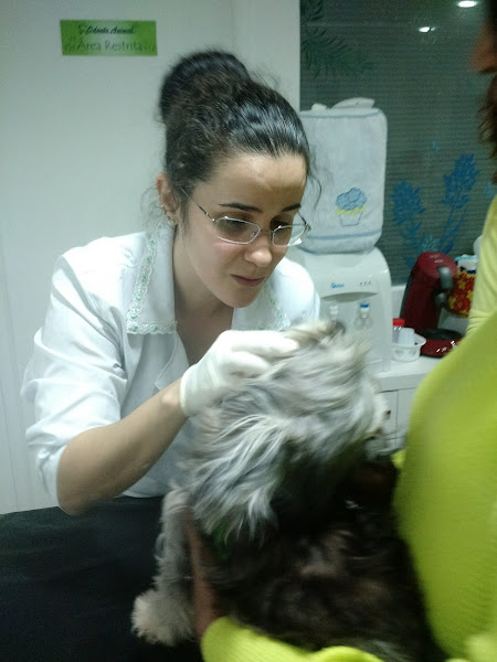 Foto 1 Odonto Animal