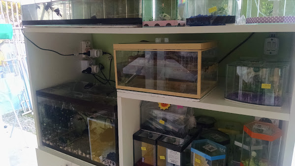 Foto 3 Pet Shop e Aviário Storepet's