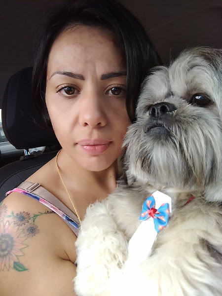 Foto 4 Pet Shop e Aviário Storepet's