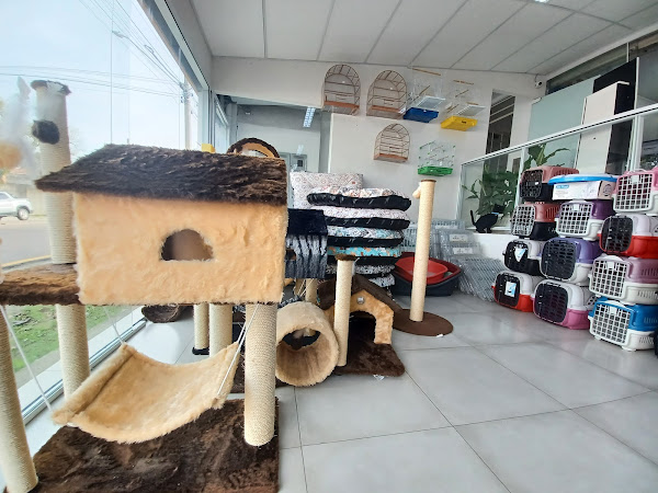 Foto 3 Iguana Pet Shop