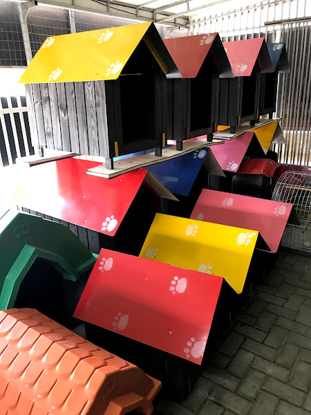 Foto 4 Iguana Pet Shop