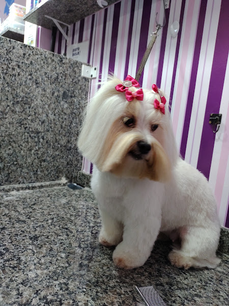 Foto 5 Puro Pelo Pet Shop