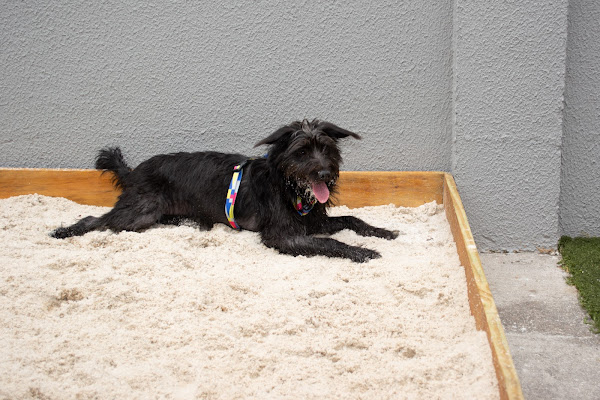 Foto 1 Vital Pet Shop & Clínica Veterinária Bem Estar Animal