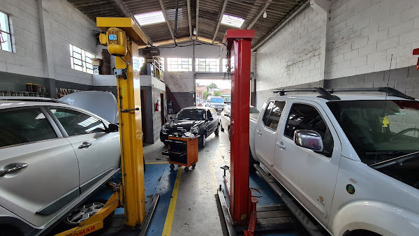 Multimarcas Curitiba - Francys