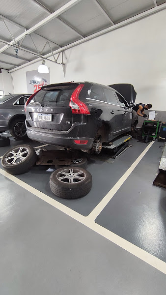 Foto 2 Oficina Mecânica - Dalz Automotiva Água Verde | Bosch Car Service