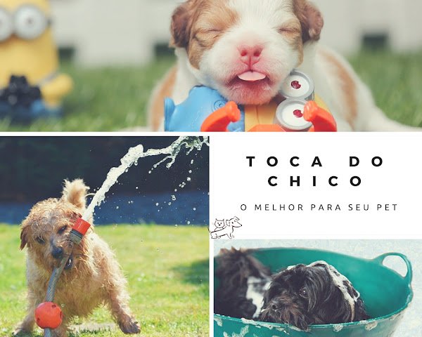 Foto 5 Toca do Chico Pet Shop