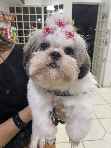 Foto 2 Pet Folia Pet Shop