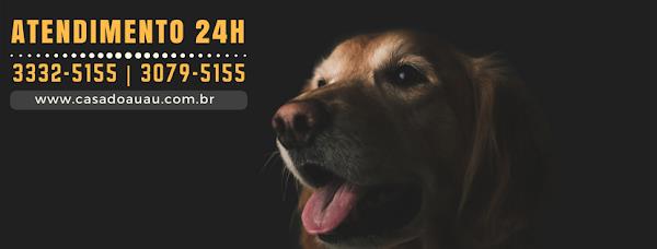 CASA DO AU AU - Banho e Tosa