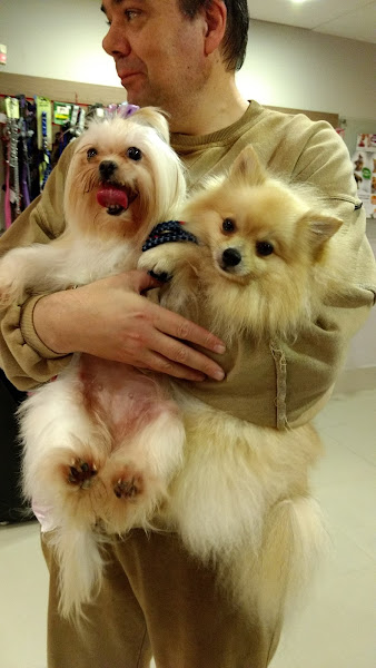 Foto 4 Pet e Love Centro Veterinário